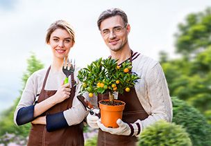 Проект «под ключ» где можно заказать по низкой цене  в Московской области