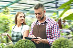 Дендроплан - верное планирование территории и решения этой задачи на уровне  в Московской области