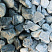 Kamenclub.ru: Щебень галтованный зеленый (змеевик) фр. 50-100 мм.  купить в Московской области галтовка мраморная зеленый, салатовый мрамор 12 500 руб/т   фото КАМЕНЬ КЛУБ