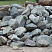 Kamenclub.ru: Гранит скальник (серо-зеленый) фр. 100-500 мм.  купить в Московской области гранит зеленый, серый, салатовый крупный ландшафтный валун 6 000 руб/т   фото КАМЕНЬ КЛУБ