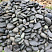 Kamenclub.ru: Темно-серый валунчик фр.100-300 мм.  купить в Московской области крупный природный камень серый, темно-серый, светло-серый речная галька большого размера окатанная 4500 руб/т   фото КАМЕНЬ КЛУБ