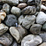 Kamenclub.ru: Речной валун Кабанчик фр.300-500 мм.  купить в Московской области крупный природный камень галька серый, темно-серый речной валун галечник масштабный 7000 руб/т   фото КАМЕНЬ КЛУБ