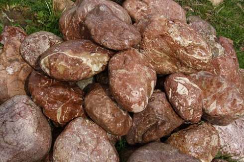 Kamenclub.ru: Розовый валунчик фр.100-300 мм.  купить в Московской области крупный природный камень розовый, серый молочный красный речной галечник природный 7850 руб/т   фото КАМЕНЬ КЛУБ