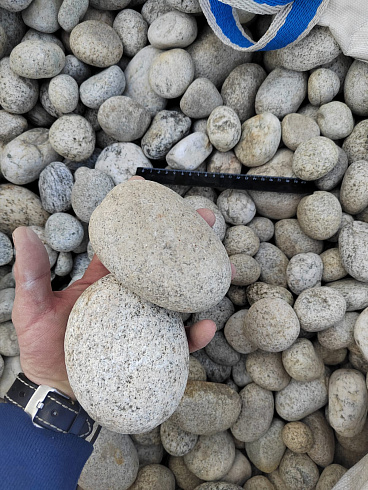 Kamenclub.ru: Галька речная окат (серо-белая) фр. 70-120 мм купить  в Московской области галька галечник бело-серая, серо-белая, серая, белая речная природная галька  8000 руб/т   фото КАМЕНЬ КЛУБ