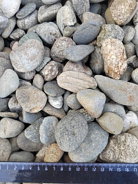 Kamenclub.ru: Галька речная окат (пестрая) фр. 20-40 мм. купить  в Московской области галька речная пестрая, серая, серые оттенки галька речная окатанная округлая 5000 руб/т   фото КАМЕНЬ КЛУБ