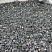 Kamenclub.ru: Щебень крошка черный (мрамор) фр. 10-20 мм.  купить в Московской области мрамор черный с белыми прожилками, черный, белый каменная ландшафтная декоративная крошка щебня 11000 руб/т   фото КАМЕНЬ КЛУБ