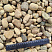 Kamenclub.ru: Галька речная окат рыжая фр. 20-40 мм. купить  в Московской области галька речная окатанная рыжая желтая серая округлая речная галька 5000 руб/т   фото КАМЕНЬ КЛУБ