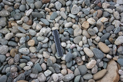 Kamenclub.ru: Галька речная окат (пестрая) фр. 20-40 мм. купить  в Московской области галька речная пестрая, серая, серые оттенки галька речная окатанная округлая 5000 руб/т   фото КАМЕНЬ КЛУБ