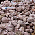 Kamenclub.ru: Розовый валунчик фр.100-300 мм.  купить в Московской области крупный природный камень розовый, серый молочный красный речной галечник природный 7850 руб/т   фото КАМЕНЬ КЛУБ