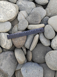 Kamenclub.ru: Галька речная плоская (серо-белая) фр. 70-120 мм. купить в Московской области галька галечник речной серый, белый окатанная плоская  природная галька 9000 руб/т   фото КАМЕНЬ КЛУБ