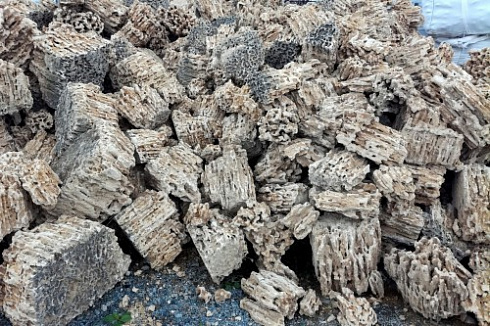 Kamenclub.ru: Крымский природный меотис фр. 100-500 мм.  купить в Московской области меотис бежевый рыжий молочный желтый ракушечник 4 500 руб/т   фото КАМЕНЬ КЛУБ