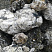 Kamenclub.ru: Черный гранит - кварцит фр. 100-500 мм.  купить в Московской области мрамор гранит черный с белыми прожилками, серый, белый валун скальный колотый 7000 руб/т   фото КАМЕНЬ КЛУБ