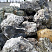 Kamenclub.ru: Черный гранит - кварцит фр. 500-1000 мм.  купить в Московской области гранит кварцит черный серый белый скальный колотый валун 9750 руб/т   фото КАМЕНЬ КЛУБ