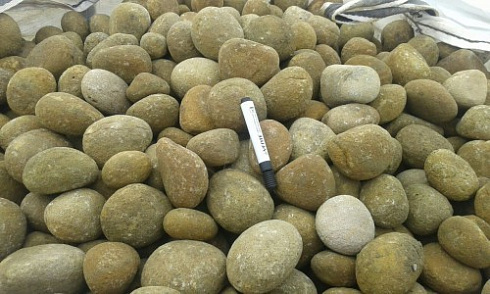 Kamenclub.ru: Песчаник ядра, фр. 100-300 мм  купить в Московской области песчаник бежевый серый рыжий речная галька 5 000 руб/т   фото КАМЕНЬ КЛУБ