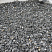 Kamenclub.ru: Щебень крошка черный (мрамор) фр. 20-40 мм.  купить в Московской области мрамор черный с белыми прожилками мраморная каменная крошка 11000 руб/т   фото КАМЕНЬ КЛУБ