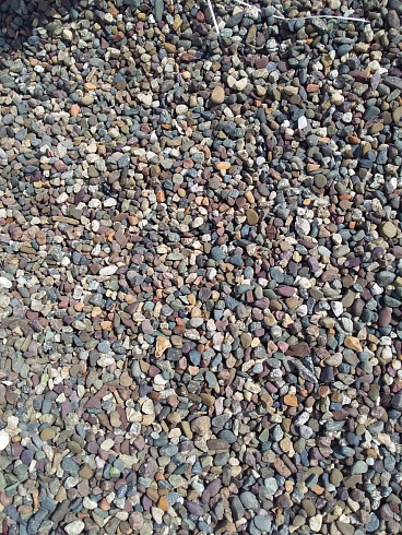 Kamenclub.ru: Галька речная окат цветная фр.5-10 мм. купить  в Московской области галька речная белый, серый, красноватый, синий, темно-серый речная окатанная галька декоративная 6800 руб/т   фото КАМЕНЬ КЛУБ