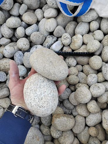 Kamenclub.ru: Галька речная окат (серо-белая) фр. 70-120 мм купить  в Московской области галька галечник бело-серая, серо-белая, серая, белая речная природная галька  8000 руб/т   фото КАМЕНЬ КЛУБ