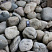 Kamenclub.ru: Темно-серый валунчик фр.100-300 мм.  купить в Московской области крупный природный камень серый, темно-серый, светло-серый речная галька большого размера окатанная 4500 руб/т   фото КАМЕНЬ КЛУБ