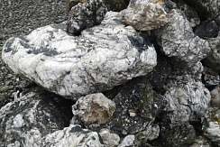 Kamenclub.ru: Черный гранит - кварцит фр. 500-1000 мм.  купить в Московской области гранит кварцит черный серый белый скальный колотый валун 9750 руб/т   фото КАМЕНЬ КЛУБ