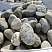 Kamenclub.ru: Речной валун (Ассорти) фр.100-300 мм.  купить в Московской области галечник серый, темно-серый, светло-серый речная галька крупных размеров 4200 руб/т   фото КАМЕНЬ КЛУБ
