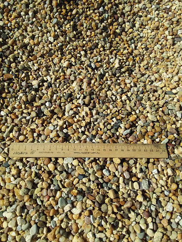 Kamenclub.ru: Галька окат (серо-желтая) фр.5-10 мм. купить  в Московской области галька речная рыжий, желтый, рыжий, серо-желтый речная окатанная галька декоративная 5000 руб/т   фото КАМЕНЬ КЛУБ