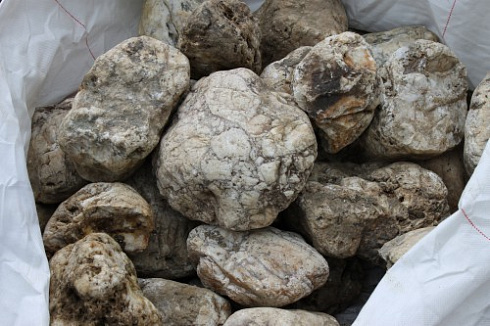 Kamenclub.ru: Кварцевый валунчик фр.100-300 мм.  купить в Московской области кварц белый, бежевый молочный рыжий крупный природный камень галечник 7850 руб/т   фото КАМЕНЬ КЛУБ