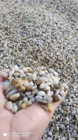 фото Галька крымская жемчужная фр. 10-20 мм. в интернет-портале КАМЕНЬ КЛУБ