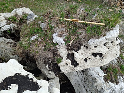 Kamenclub.ru: Выветренный известняк (степной) фр. 500-1500 мм.  купить в Московской области    10000 руб/т   фото КАМЕНЬ КЛУБ