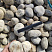 Kamenclub.ru: Галька речная окат (серо-белая) фр. 70-120 мм купить  в Московской области галька галечник бело-серая, серо-белая, серая, белая речная природная галька  8000 руб/т   фото КАМЕНЬ КЛУБ