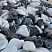 Kamenclub.ru: Мраморная крошка (щебень галтованный микс:: белый-черный) фр.20-40 мм  купить в Московской области мрамор белый, черный мраморный галтованный щебень 15500 руб/т   фото КАМЕНЬ КЛУБ