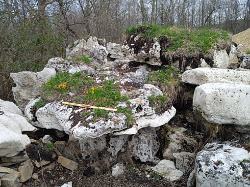 Kamenclub.ru: Выветренный известняк со мхом фр. 100-500 мм.  купить в Московской области известняк серый белый зеленый валун известняковый крупный 10000 руб/т   фото КАМЕНЬ КЛУБ