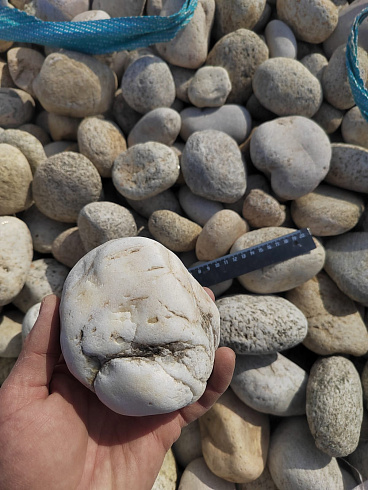 Kamenclub.ru: Галька речная окат (серо-белая) фр. 70-120 мм купить  в Московской области галька галечник бело-серая, серо-белая, серая, белая речная природная галька  8000 руб/т   фото КАМЕНЬ КЛУБ