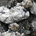 Kamenclub.ru: Черный гранит - кварцит фр. 100-500 мм.  купить в Московской области мрамор гранит черный с белыми прожилками, серый, белый валун скальный колотый 7000 руб/т   фото КАМЕНЬ КЛУБ