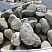 Kamenclub.ru: Речной валун (Ассорти) фр.100-300 мм.  купить в Московской области галечник серый, темно-серый, светло-серый речная галька крупных размеров 4200 руб/т   фото КАМЕНЬ КЛУБ