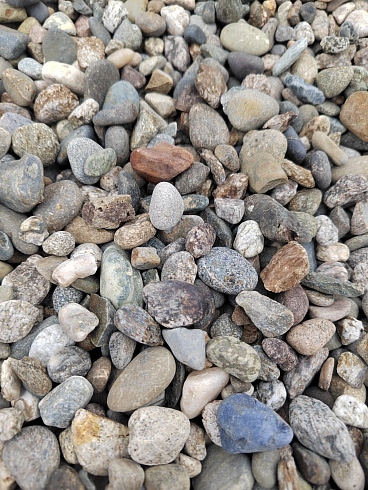 Kamenclub.ru: Галька речная окат (серая) фр.10-20 мм купить  в Московской области галька речная серая, серый, темно-серый, светло-серый, коричневый ландшафтная декоративная речная окатанная округлая галька 5000 руб/т   фото КАМЕНЬ КЛУБ