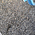 Kamenclub.ru: Галька речная окат (серая) фр.3-5 мм купить  в Московской области галька речная серая бежевый темно-серый окатанный речной камень округлый 9500 руб/т   фото КАМЕНЬ КЛУБ