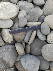 Kamenclub.ru: Галька речная плоская (ассорти) фр. 70-150 мм. купить в Московской области галька галечник серый белый темно-серый синий светло-серый плоская природная галька  9000 руб/т   фото КАМЕНЬ КЛУБ