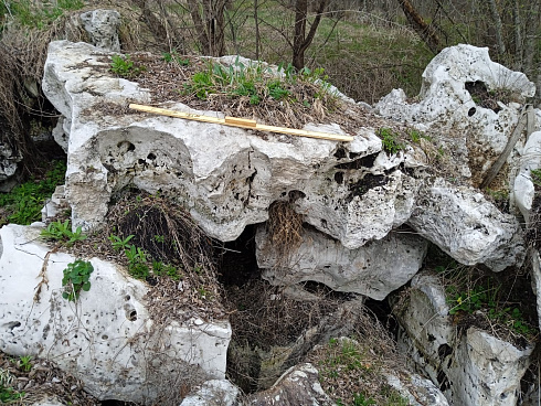 Kamenclub.ru: Выветренный известняк со мхом фр. 100-500 мм.  купить в Московской области известняк серый белый зеленый валун известняковый крупный 10000 руб/т   фото КАМЕНЬ КЛУБ