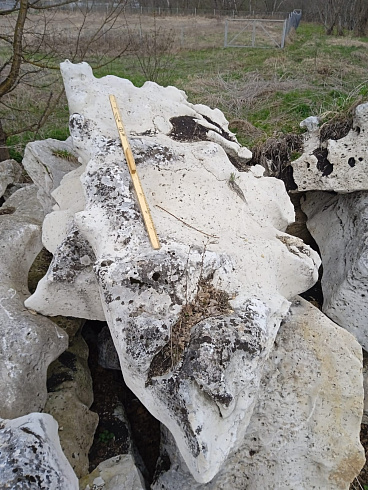 Kamenclub.ru: Выветренный известняк со мхом фр. 100-500 мм.  купить в Московской области известняк серый белый зеленый валун известняковый крупный 10000 руб/т   фото КАМЕНЬ КЛУБ