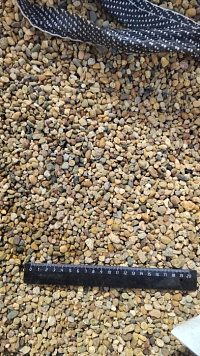 Kamenclub.ru: Галька окат (серо-желтая) фр.5-10 мм. купить  в Московской области галька речная рыжий, желтый, рыжий, серо-желтый речная окатанная галька декоративная 5000 руб/т   фото КАМЕНЬ КЛУБ