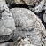 Kamenclub.ru: Кварцевый валунчик фр.100-300 мм.  купить в Московской области кварц белый, бежевый молочный рыжий крупный природный камень галечник 7850 руб/т   фото КАМЕНЬ КЛУБ