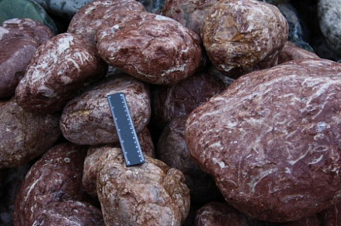 Kamenclub.ru: Розовый валунчик фр.100-300 мм.  купить в Московской области крупный природный камень розовый, серый молочный красный речной галечник природный 7850 руб/т   фото КАМЕНЬ КЛУБ