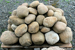 Kamenclub.ru: Песчаник ядра, фр. 100-300 мм  купить в Московской области песчаник бежевый серый рыжий речная галька 5 000 руб/т   фото КАМЕНЬ КЛУБ