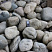 Kamenclub.ru: Речной валун (Ассорти) фр.100-300 мм.  купить в Московской области галечник серый, темно-серый, светло-серый речная галька крупных размеров 4200 руб/т   фото КАМЕНЬ КЛУБ