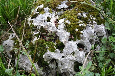 Kamenclub.ru: Выветренный известняк со мхом фр. 100-500 мм.  купить в Московской области известняк серый белый зеленый валун известняковый крупный 10000 руб/т   фото КАМЕНЬ КЛУБ