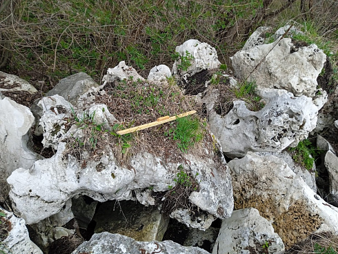 Kamenclub.ru: Выветренный известняк (степной) фр. 500-1500 мм.  купить в Московской области    10000 руб/т   фото КАМЕНЬ КЛУБ