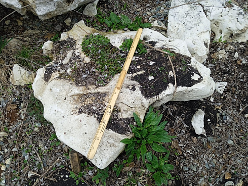 Kamenclub.ru: Выветренный известняк (степной) фр. 500-1500 мм.  купить в Московской области    10000 руб/т   фото КАМЕНЬ КЛУБ