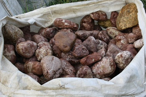 Kamenclub.ru: Розовый валунчик фр.100-300 мм.  купить в Московской области крупный природный камень розовый, серый молочный красный речной галечник природный 7850 руб/т   фото КАМЕНЬ КЛУБ