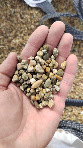 Kamenclub.ru: Галька окат (серо-желтая) фр.5-10 мм. купить  в Московской области галька речная рыжий, желтый, рыжий, серо-желтый речная окатанная галька декоративная 5000 руб/т   фото КАМЕНЬ КЛУБ